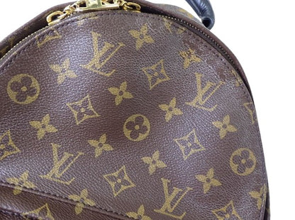 Louis Vuitton Palm Springs Backpack