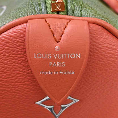 Louis Vuitton Speedy 30 Handbag