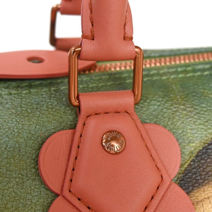 Louis Vuitton Speedy 30 Handbag