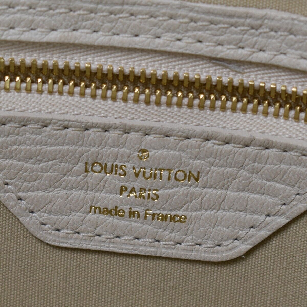 Louis Vuitton Bucket PM Tote Bag