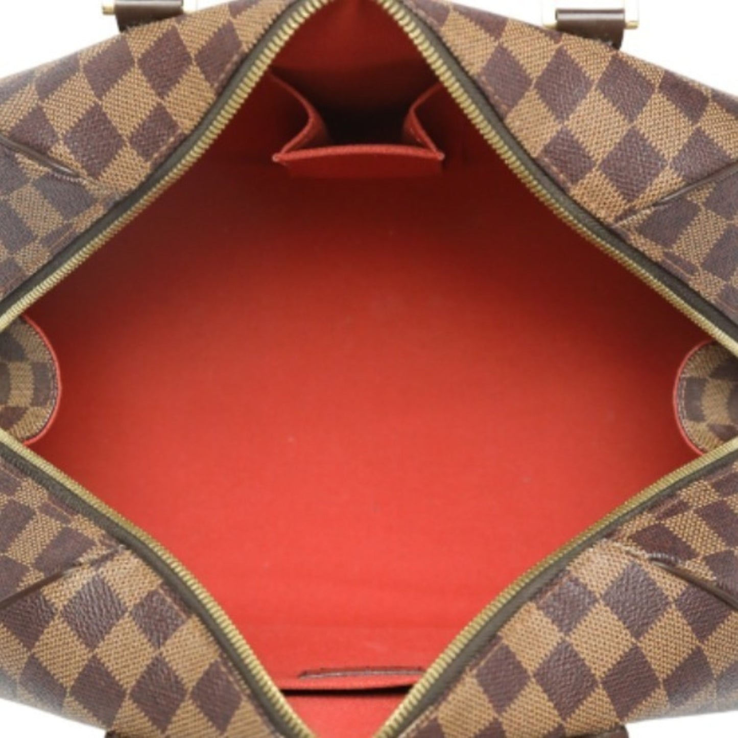 Louis Vuitton Ribera Handbag