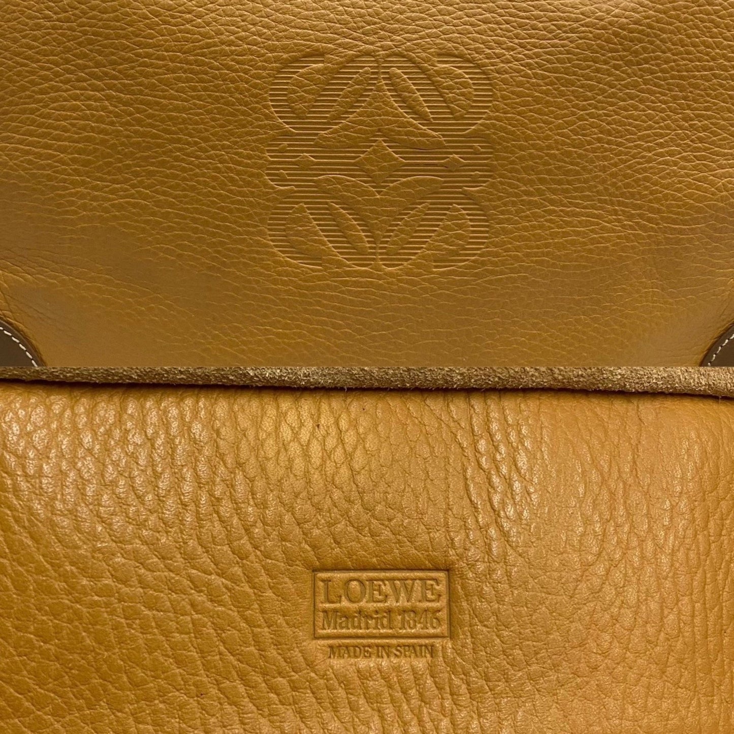 Loewe Amazona Handbag