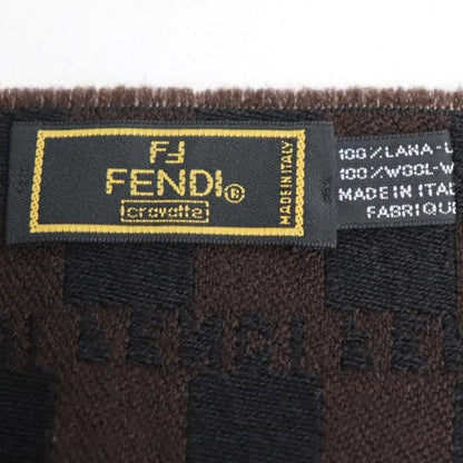 Fendi Scarf