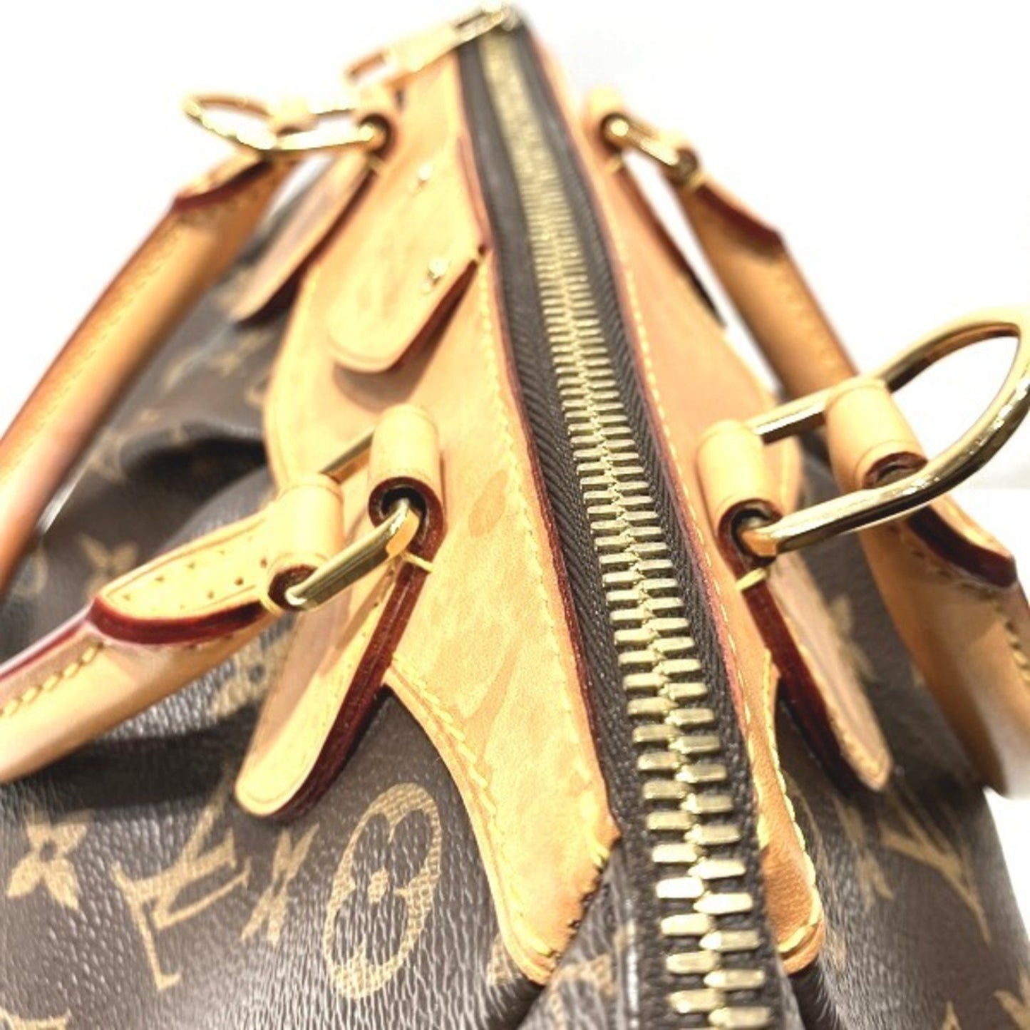 Louis Vuitton Segur Handbag