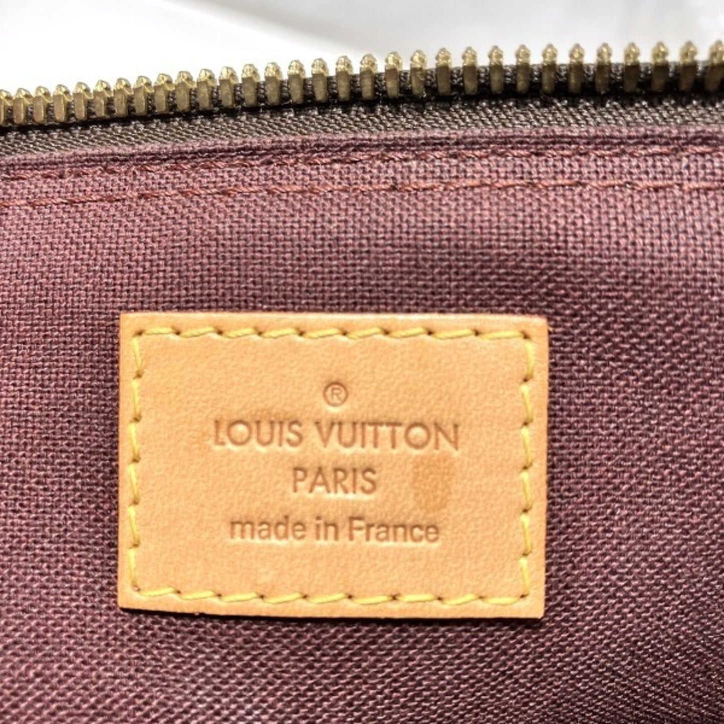 Louis Vuitton Segur Handbag