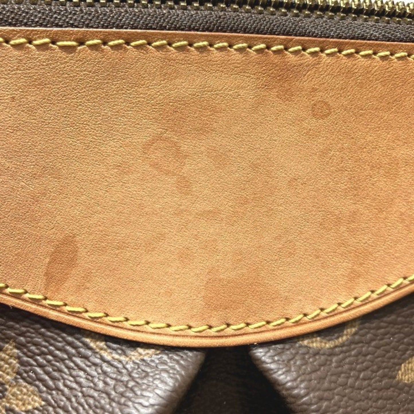 Louis Vuitton Segur Handbag