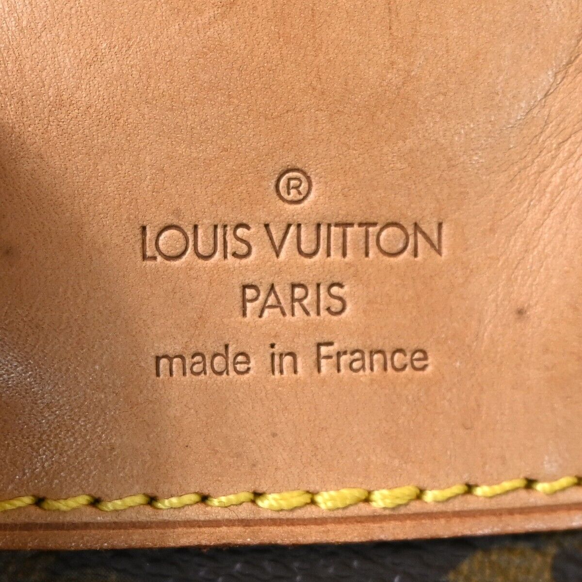 Louis Vuitton Montsouris MM Backpack