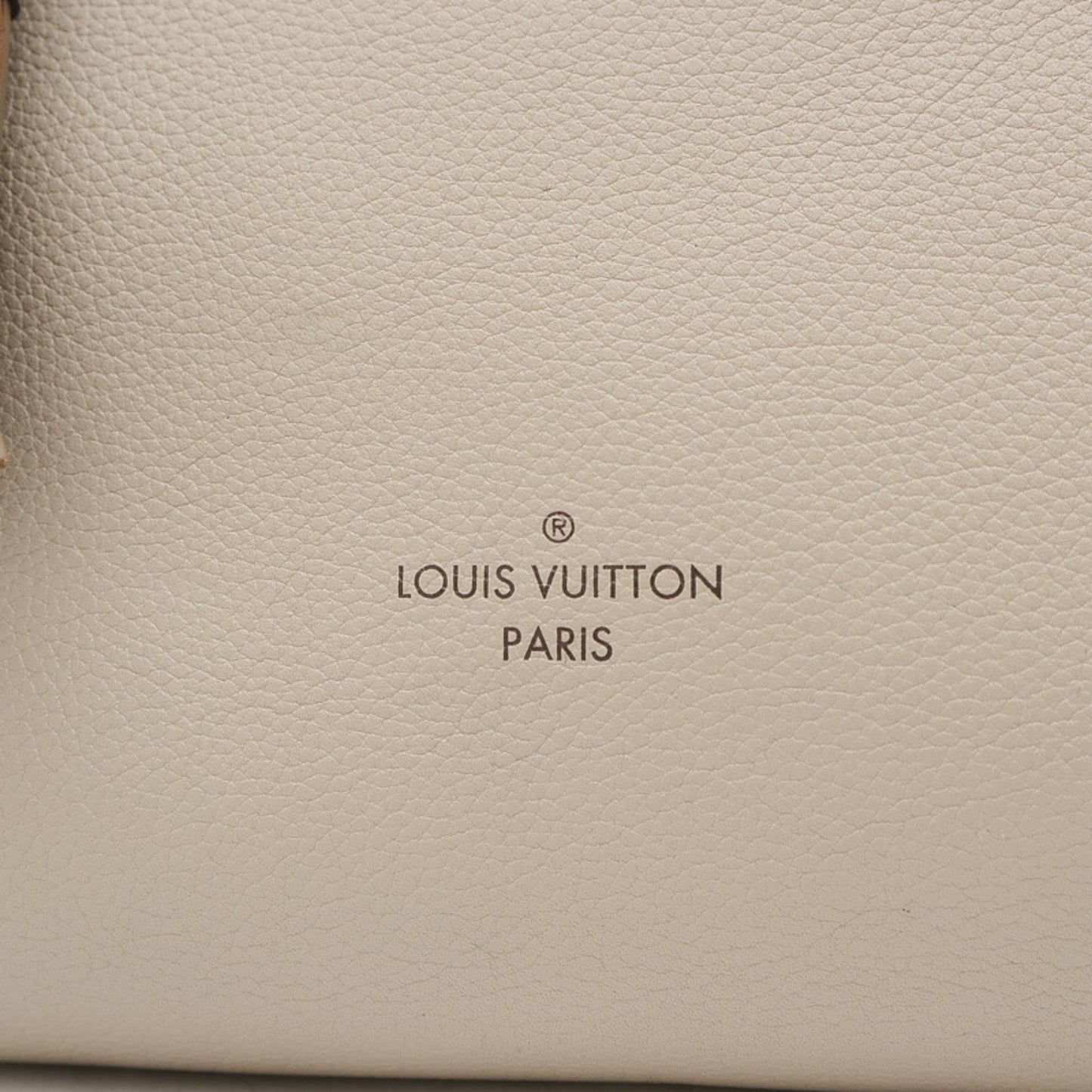 Louis Vuitton Haumea Handbag