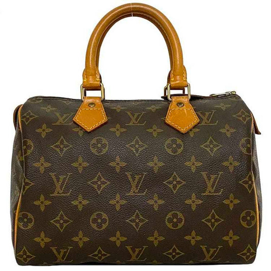 Louis Vuitton Speedy 25 Handbag