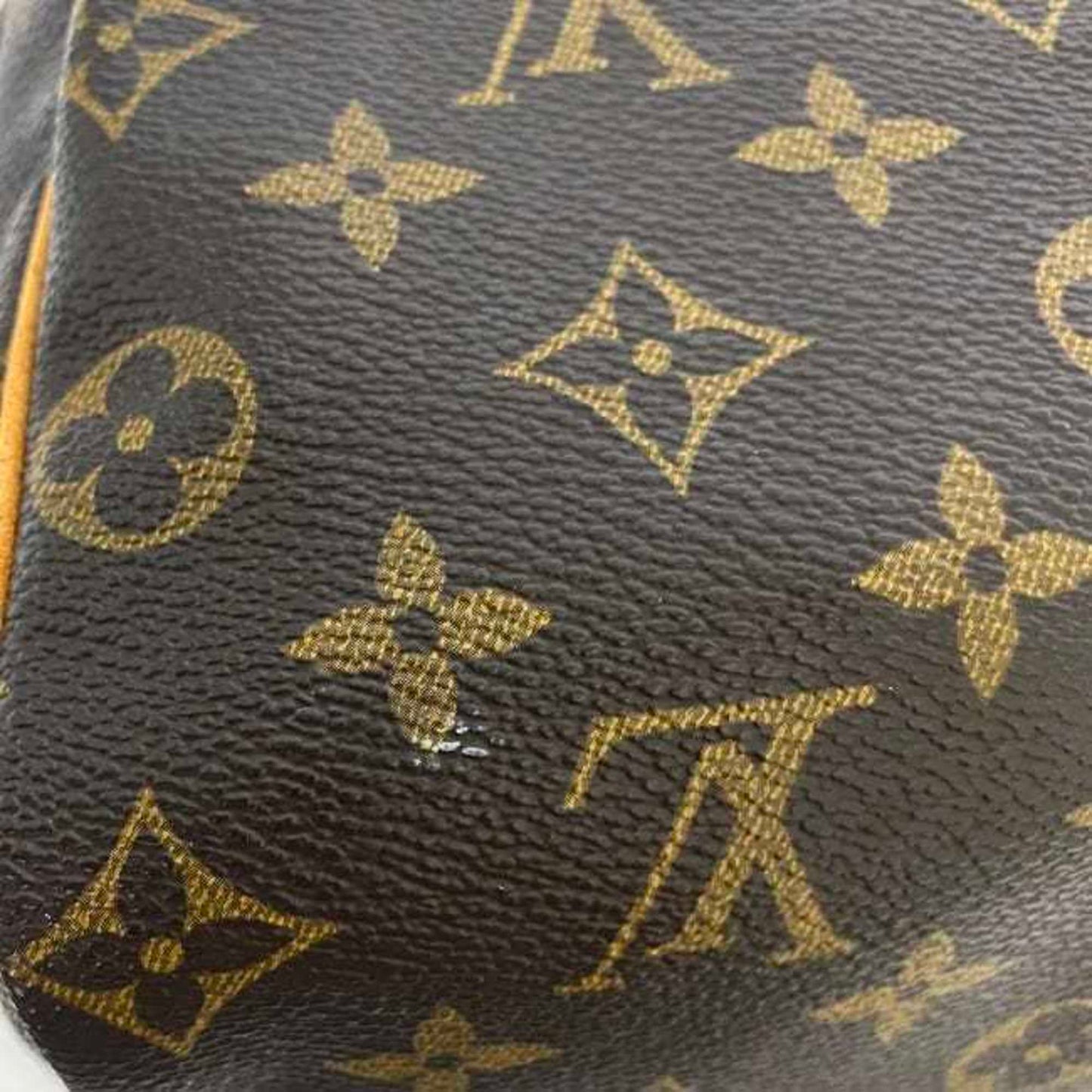 Louis Vuitton Speedy 25 Handbag