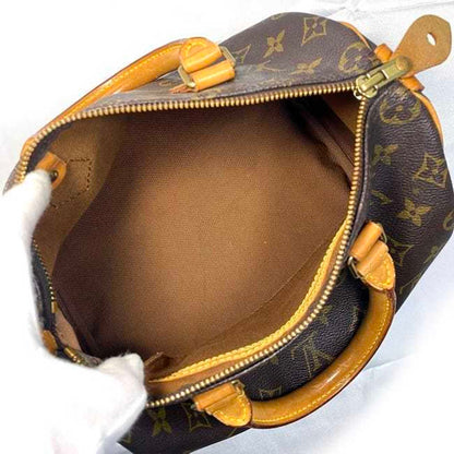 Louis Vuitton Speedy 25 Handbag