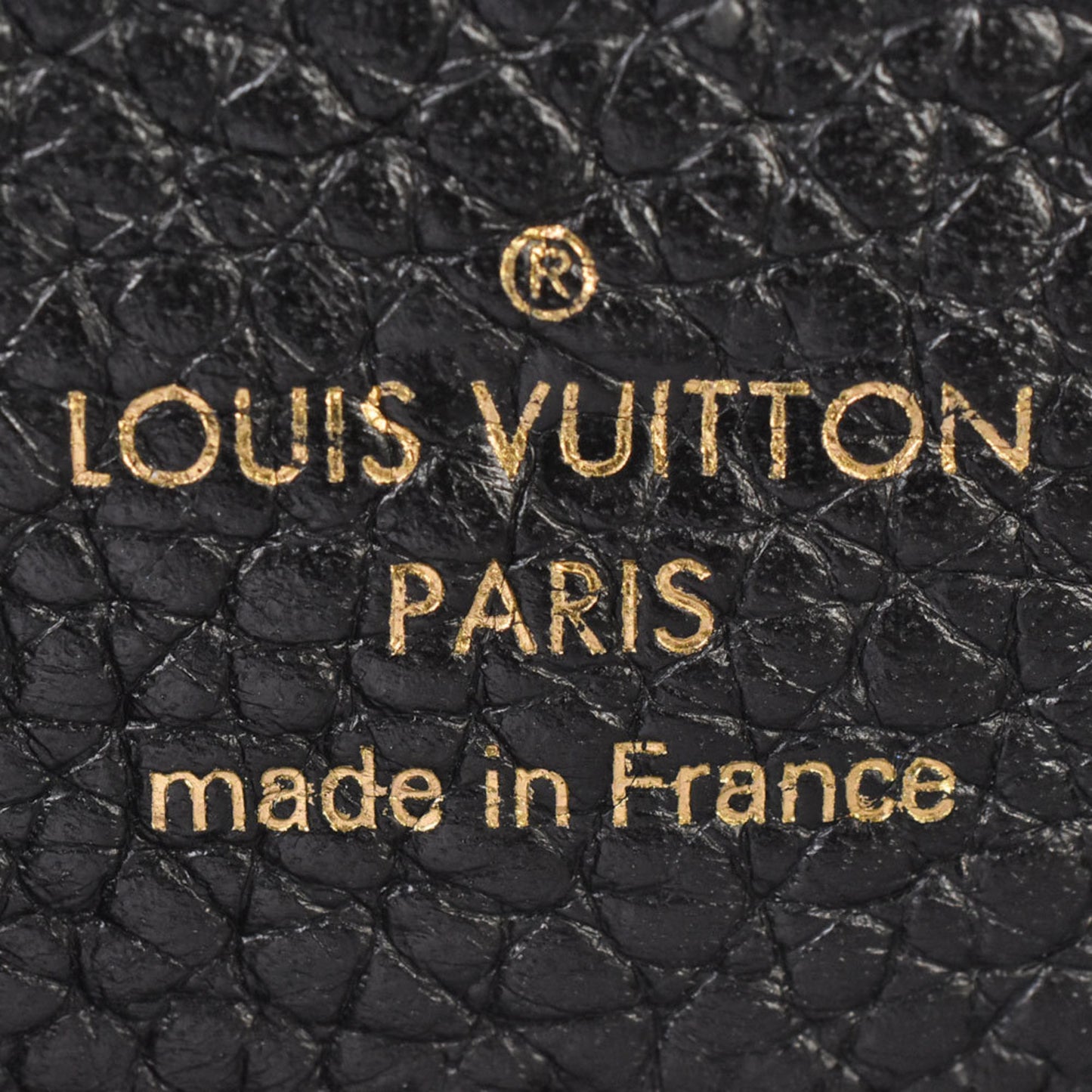 Louis Vuitton Capuchin handbag