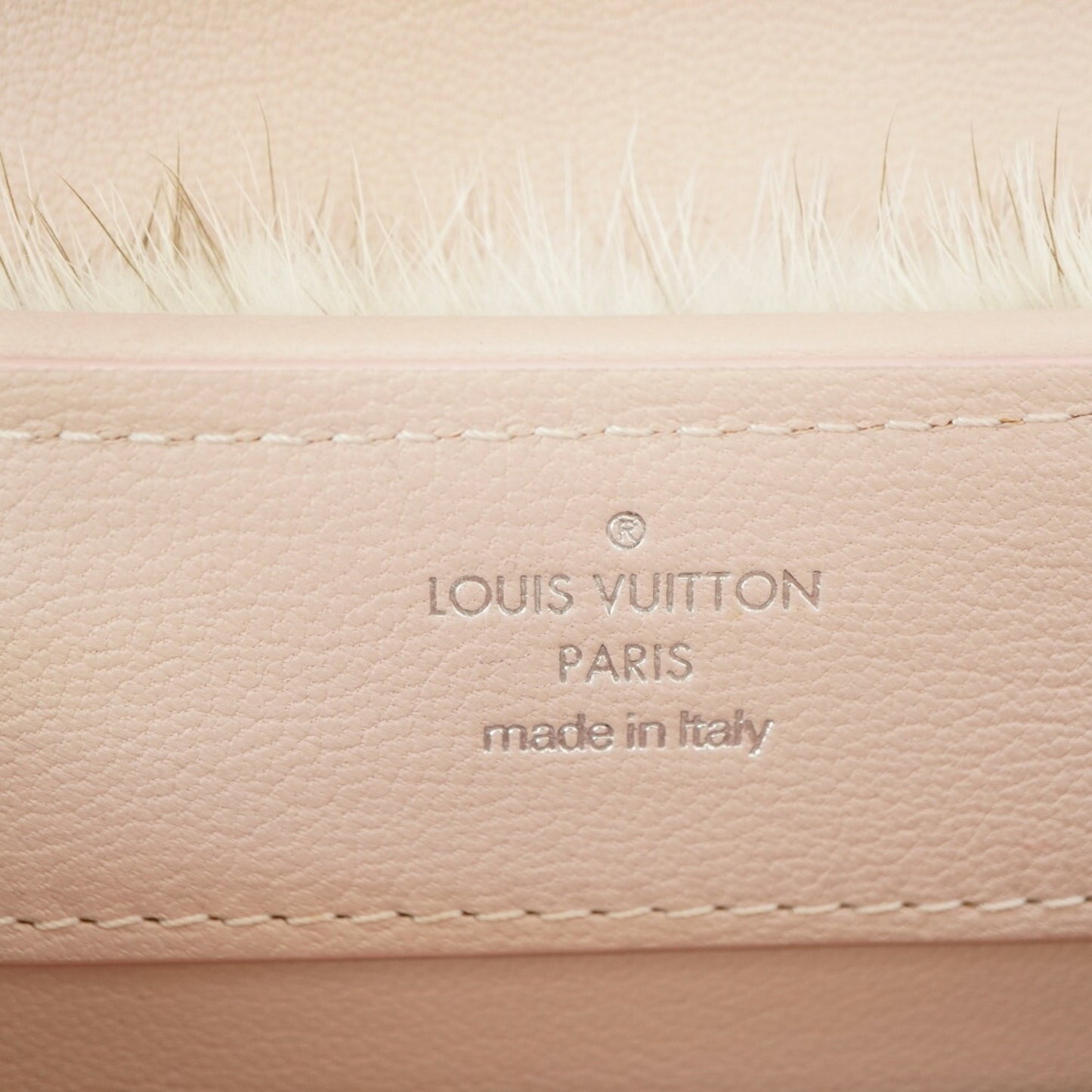 Louis Vuitton Capucines Handbag