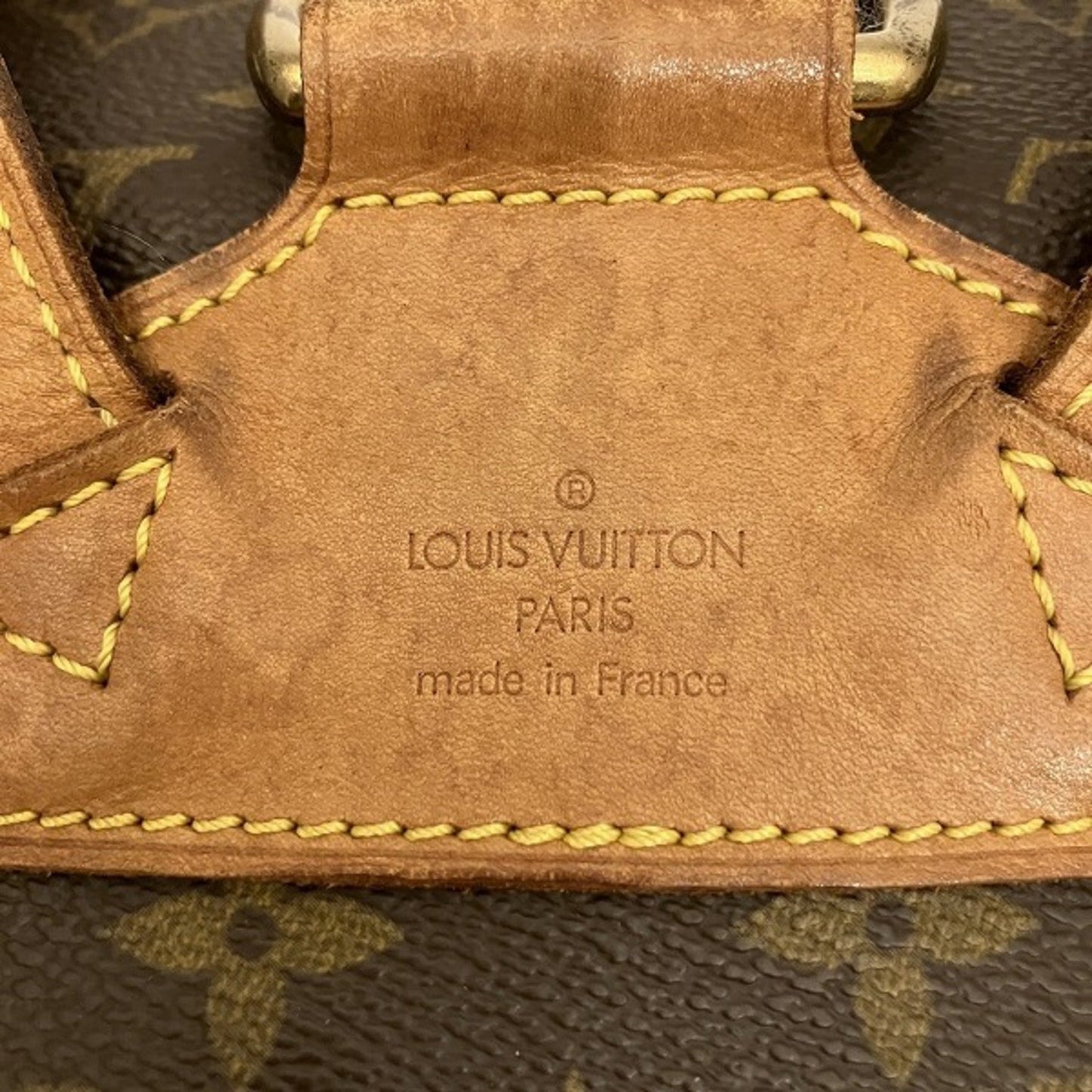 Louis Vuitton Montsouris MM Backpack