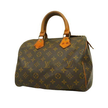 Louis Vuitton Speedy 25 Handbag