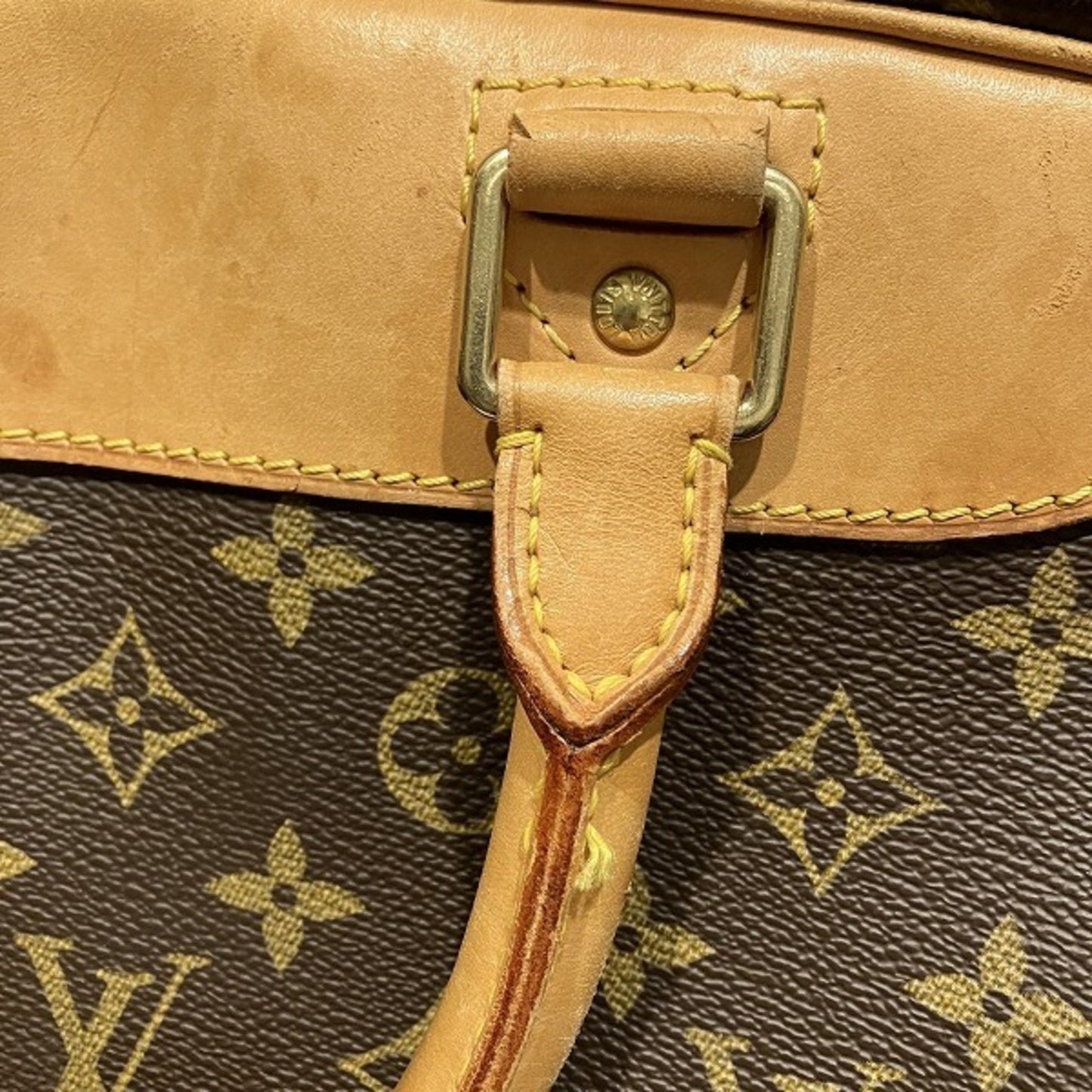 Louis Vuitton Evasion Handbag