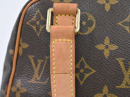 Louis Vuitton Excentri cité Handbag